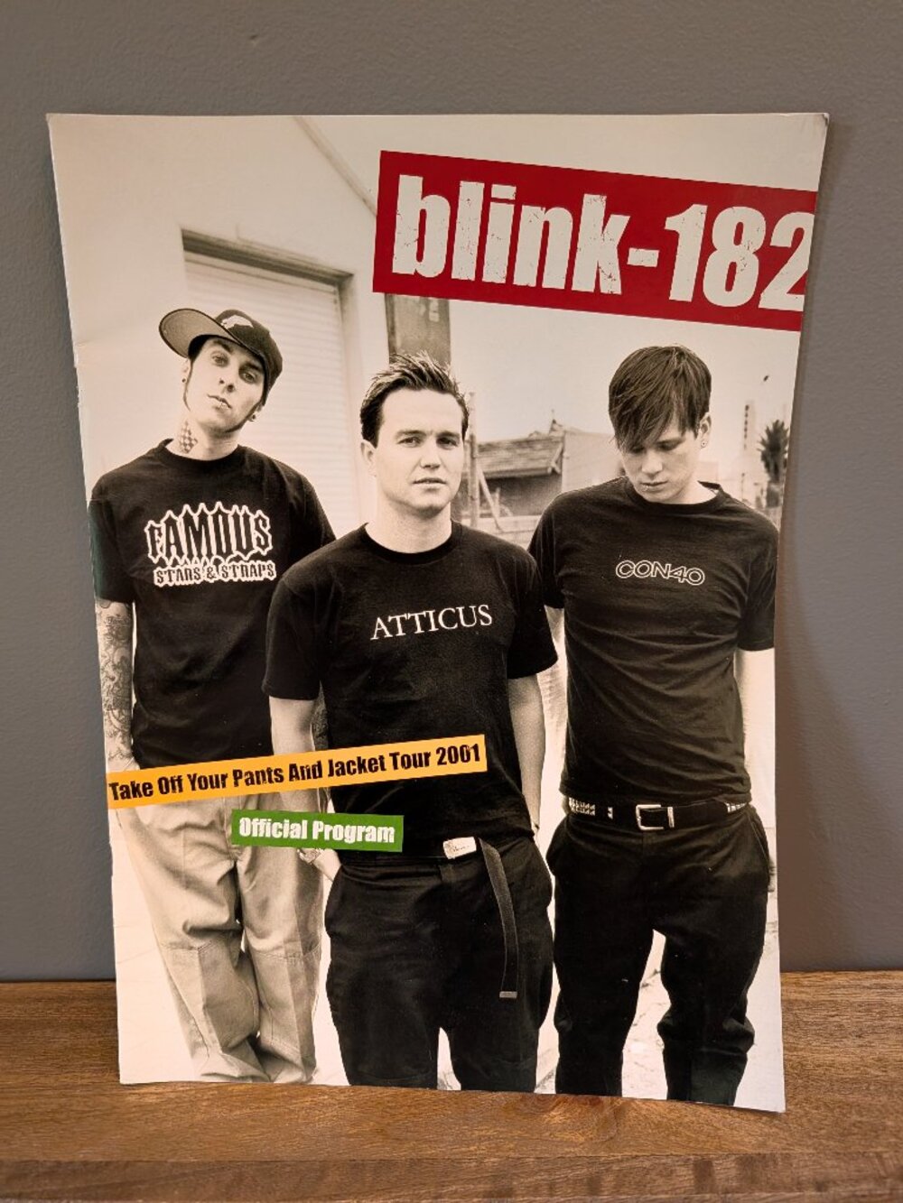 VTG 2001 Blink-182 Take Off Your Pants And Jacket Tour Program Book